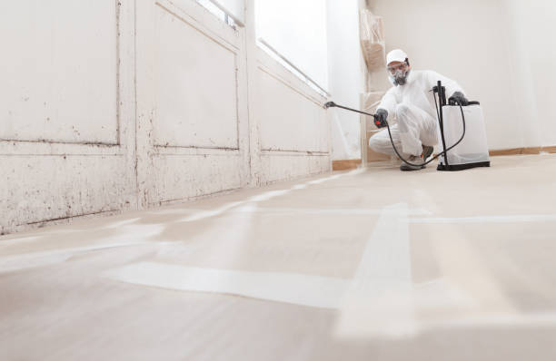 Black mold remediation team in Morrisville